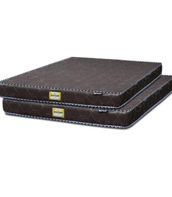 DREAMBED BIGFOAM TERATAI